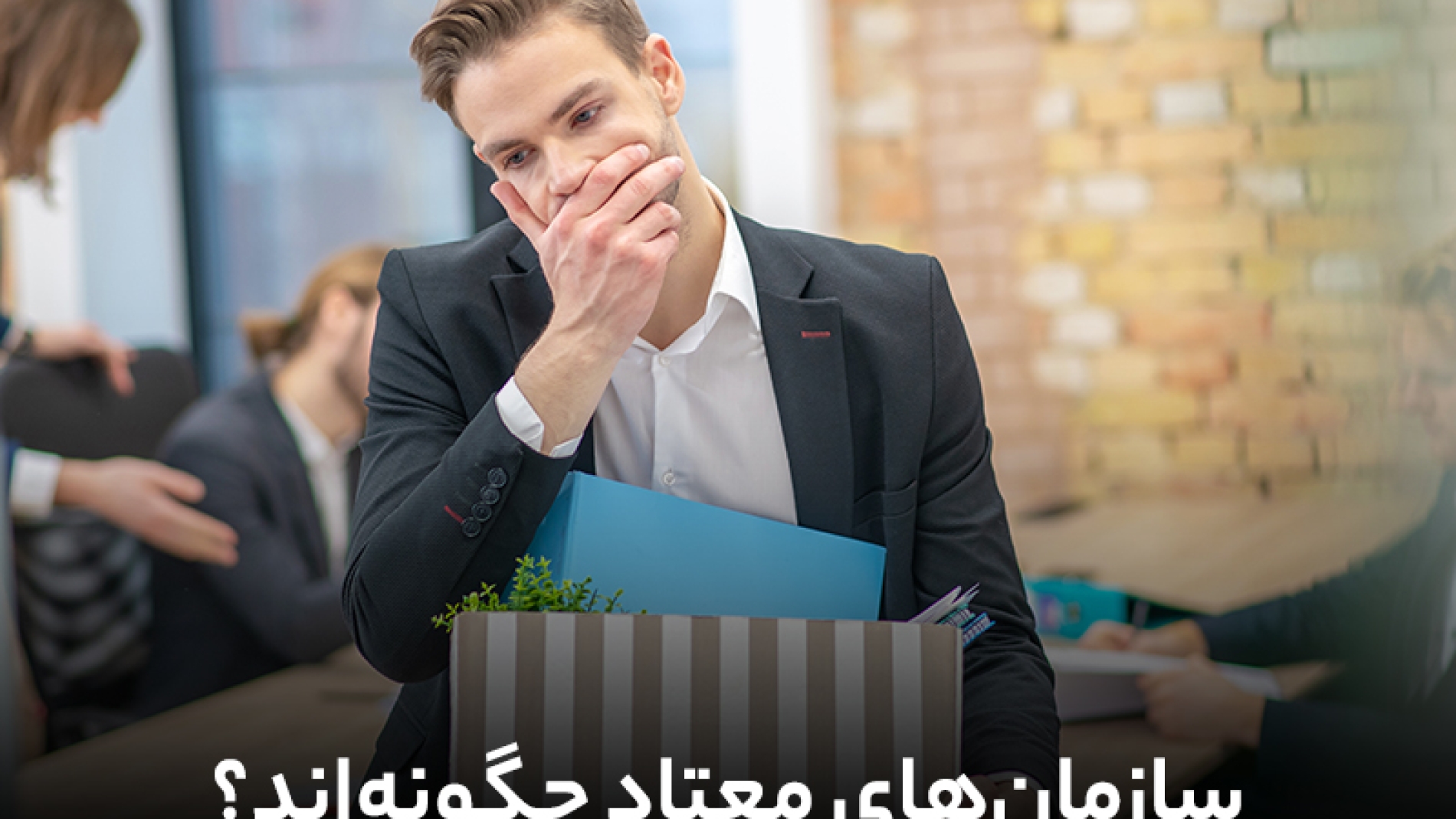سازمان های معتاد چگونه سازمانهایی هستند