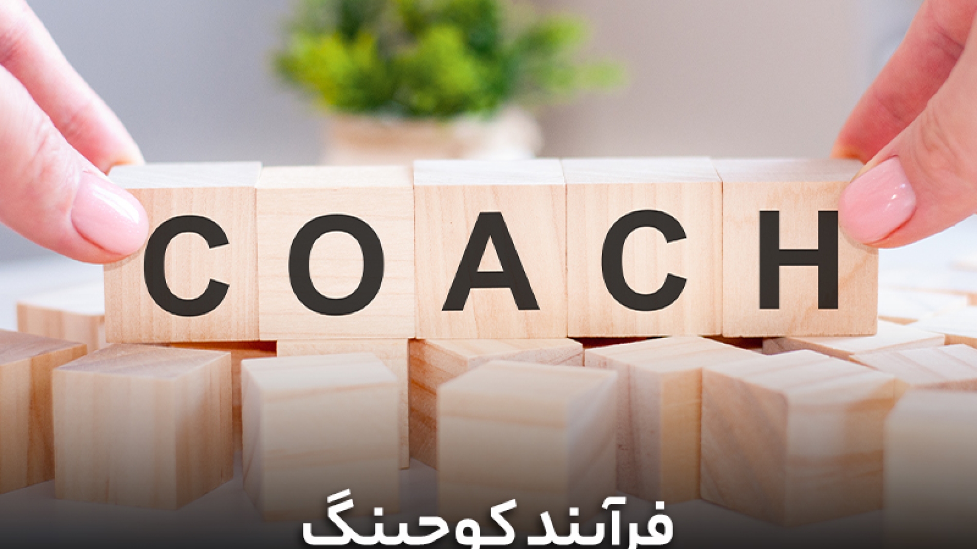 فرآیند کوچینگ
