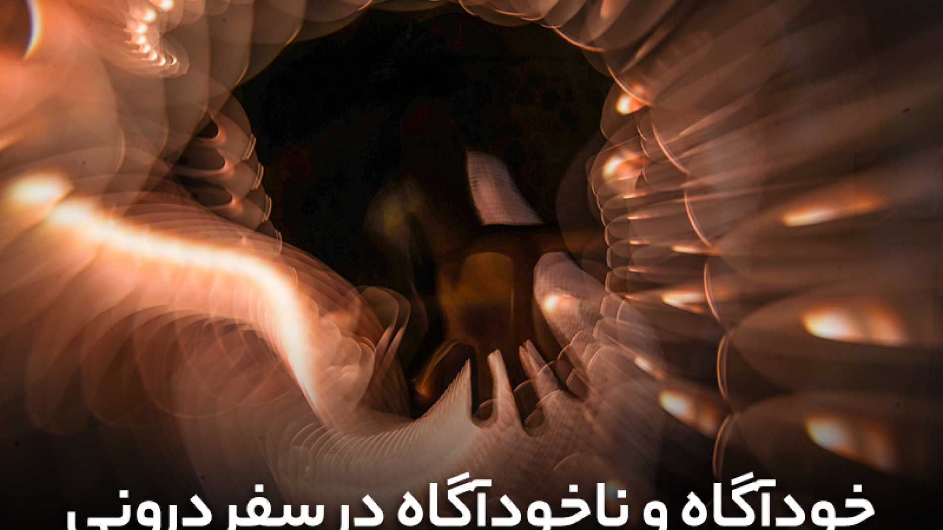 خودآگاه و ناخودآگاه در سفر درونی